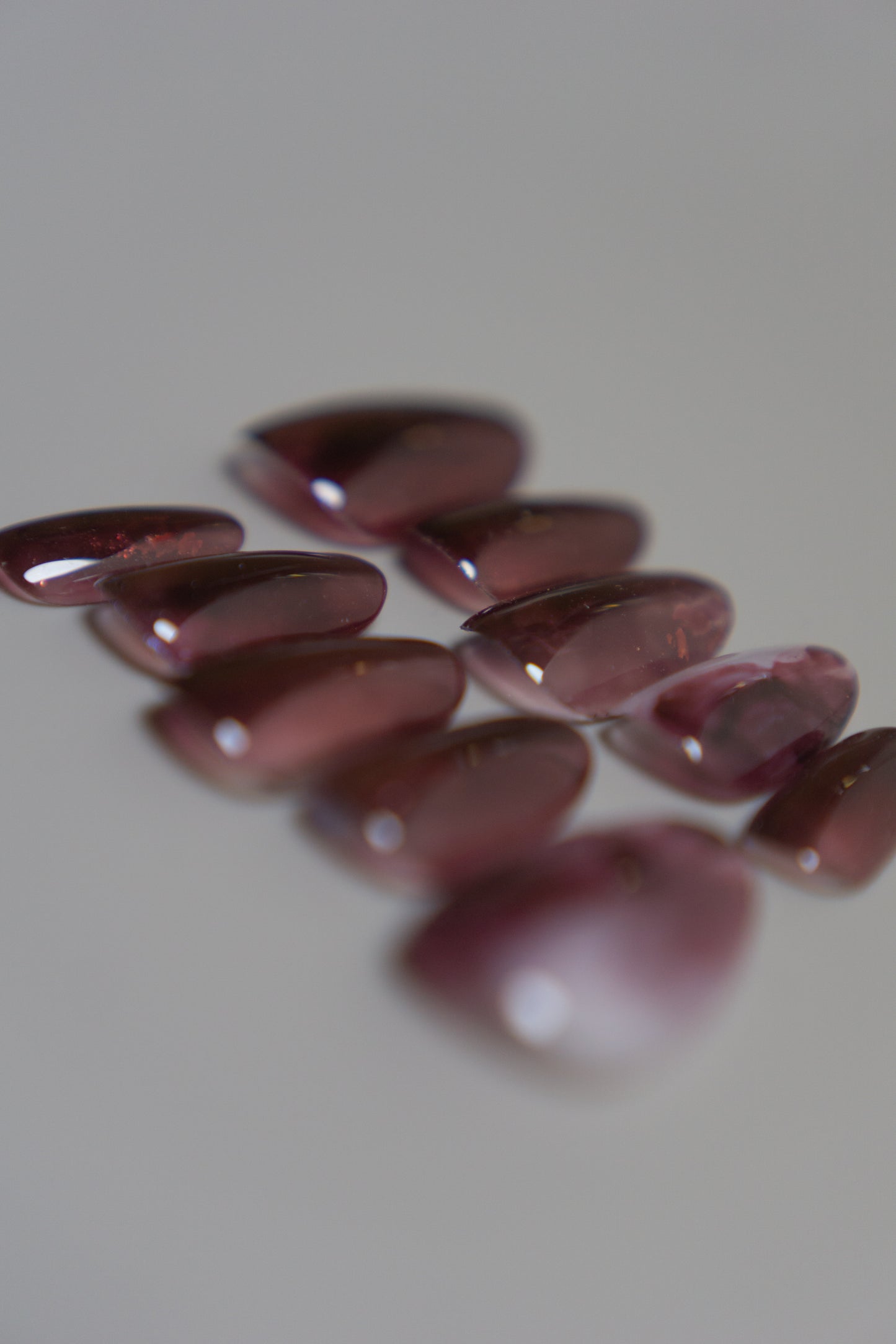 Cassiora｜カシオラ