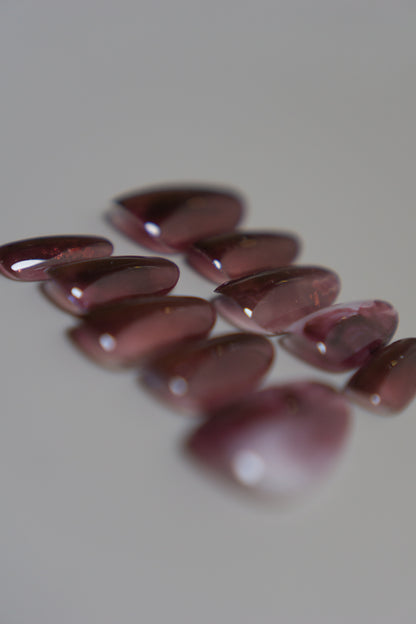 Cassiora｜カシオラ