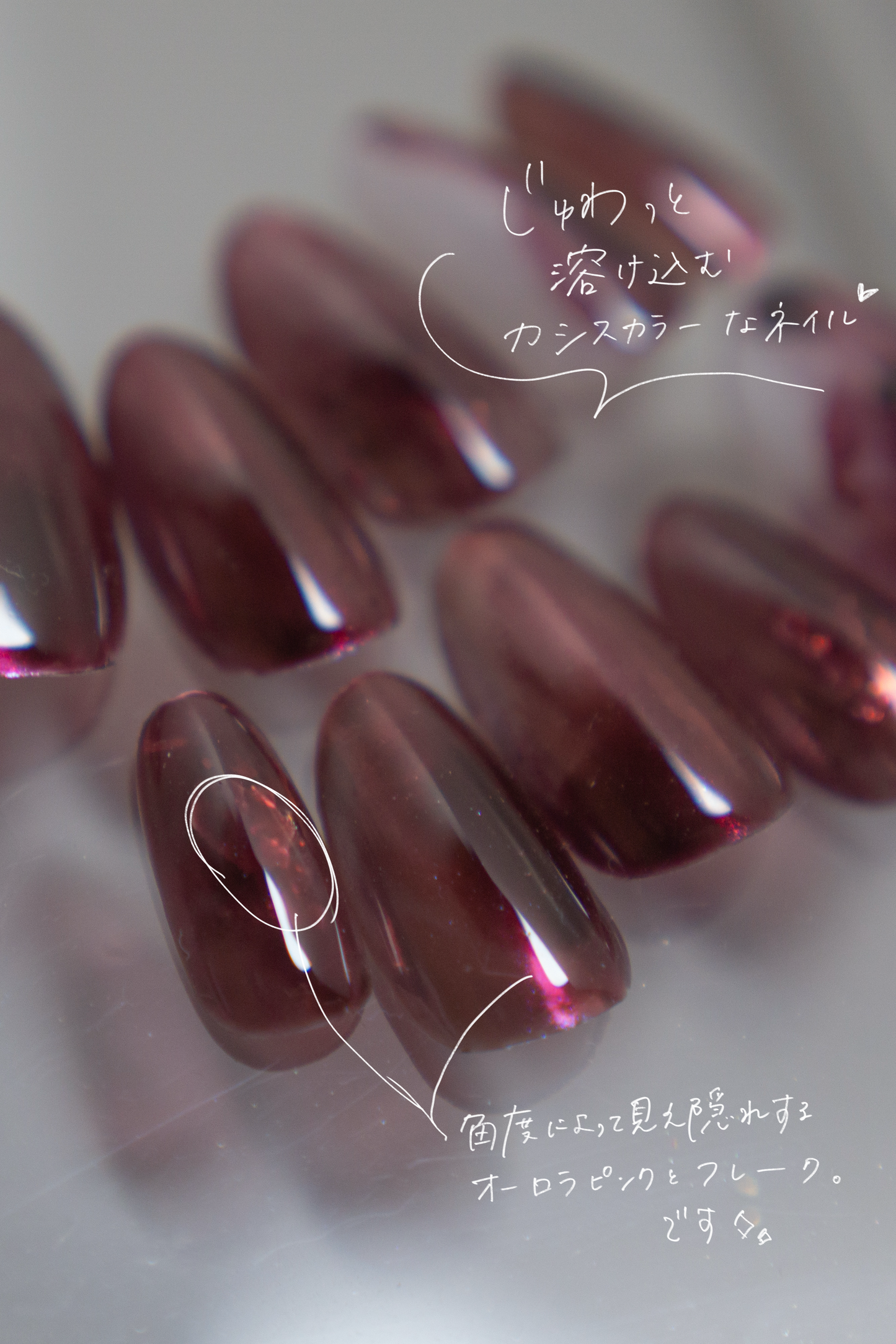 Cassiora｜カシオラ