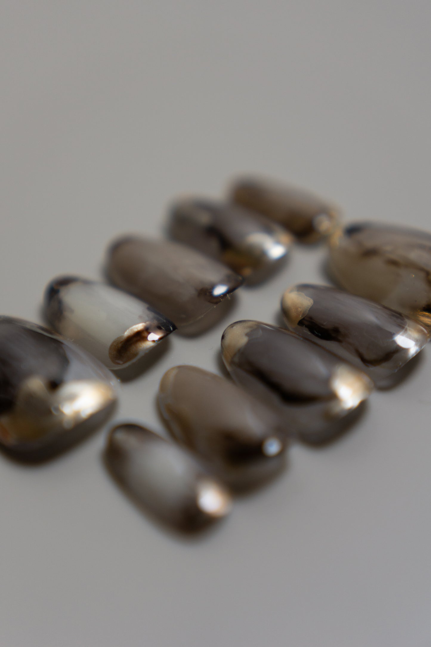 Sepiora｜セピオラ